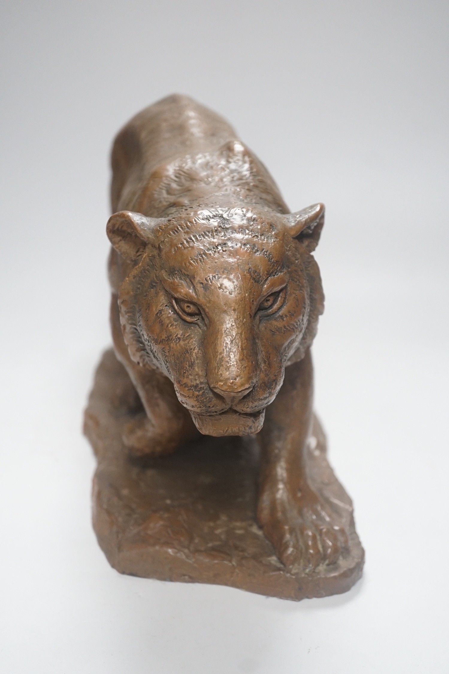 A cold cast resin bronze model of a prowling tiger, 45cm long